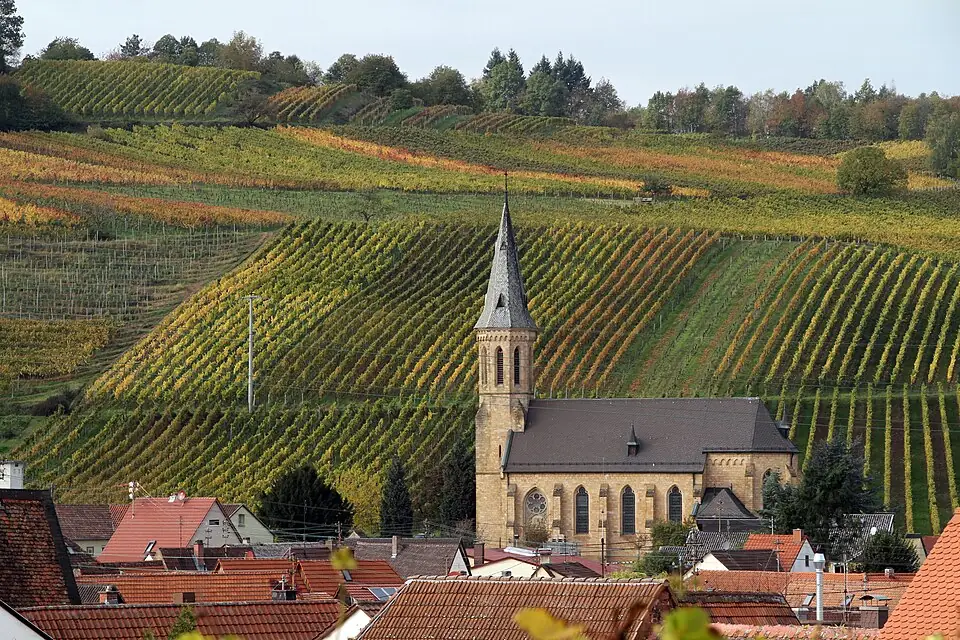 Ansicht von Birkweiler