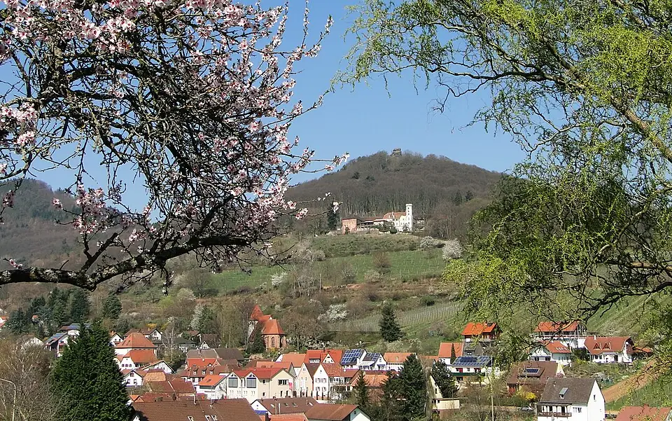 Ansicht von Leinsweiler
