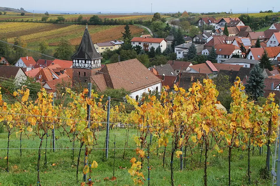 Ansicht von Ranschbach
