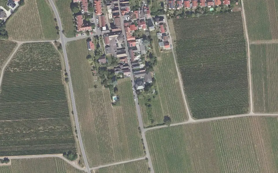 Luftbild der Umgebung von Ökonomierat Froehlich in Edenkoben