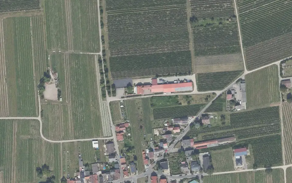 Luftbild der Umgebung von Sektkellerei Martinshof in Niederkirchen bei Deidesheim