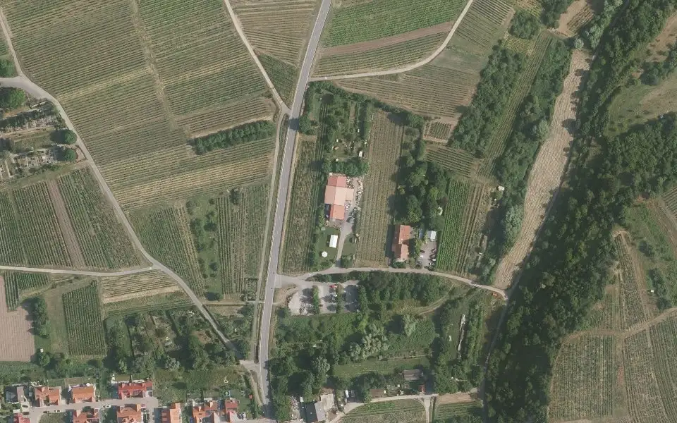 Luftbild der Umgebung von Weingut Friedhelm Neu in Bad Dürkheim