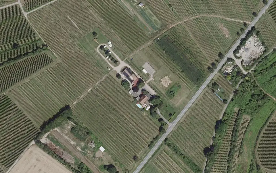 Luftbild der Umgebung von Weingut Gehring in Nierstein