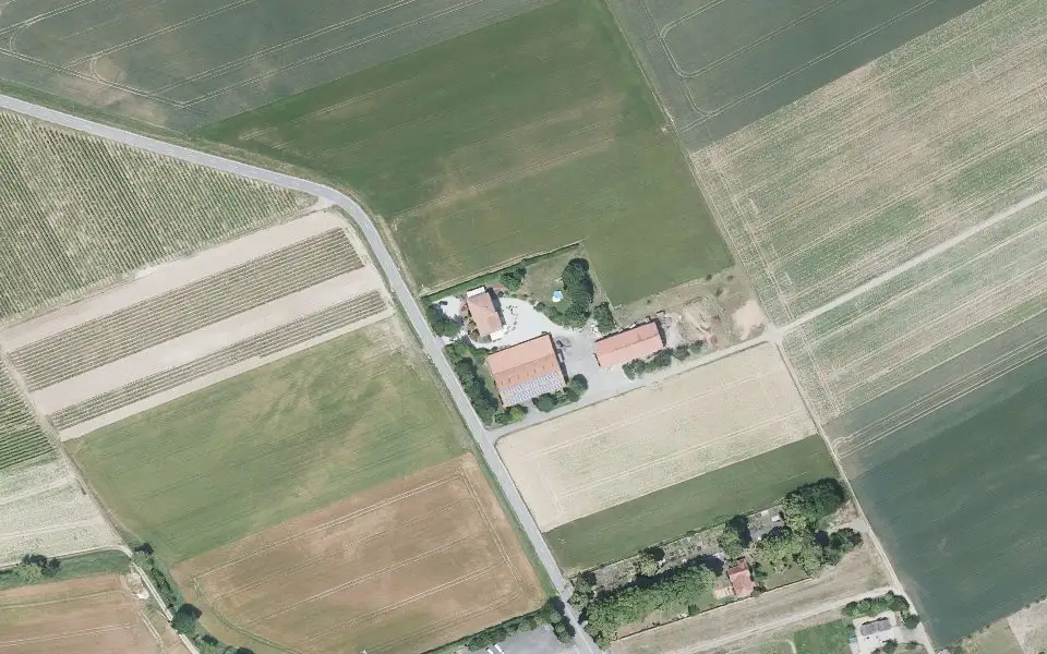 Luftbild der Umgebung von Weingut Heinz in Mauchenheim