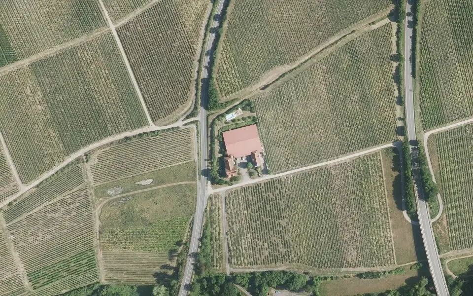 Luftbild der Umgebung von Weingut Kneisel in Obrigheim (Pfalz)
