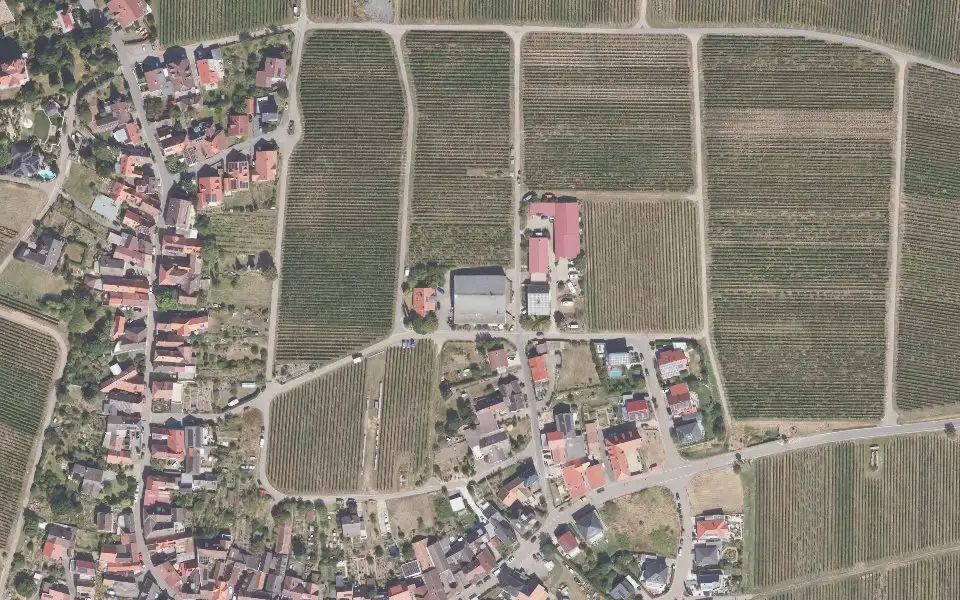 Luftbild der Umgebung von Weingut Meier in Weyher in der Pfalz