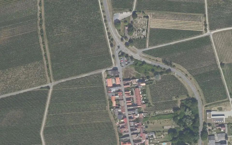 Luftbild der Umgebung von Weingut Nikolaus Werlé in Forst an der Weinstraße