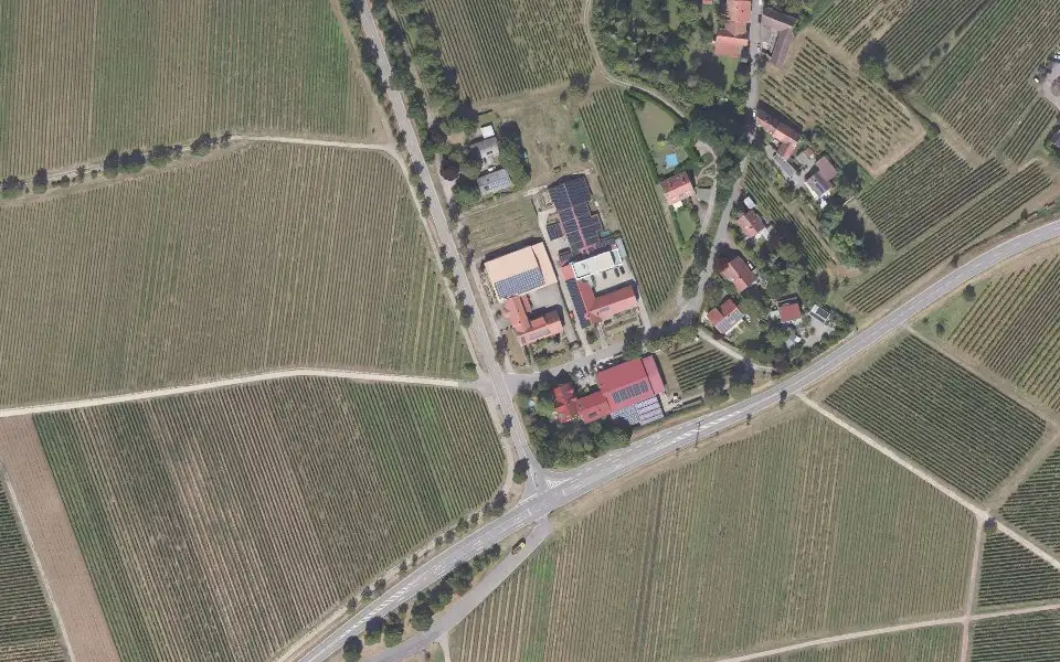 Luftbild der Umgebung von Weingut Rebenhof in Ilbesheim bei Landau in der Pfalz