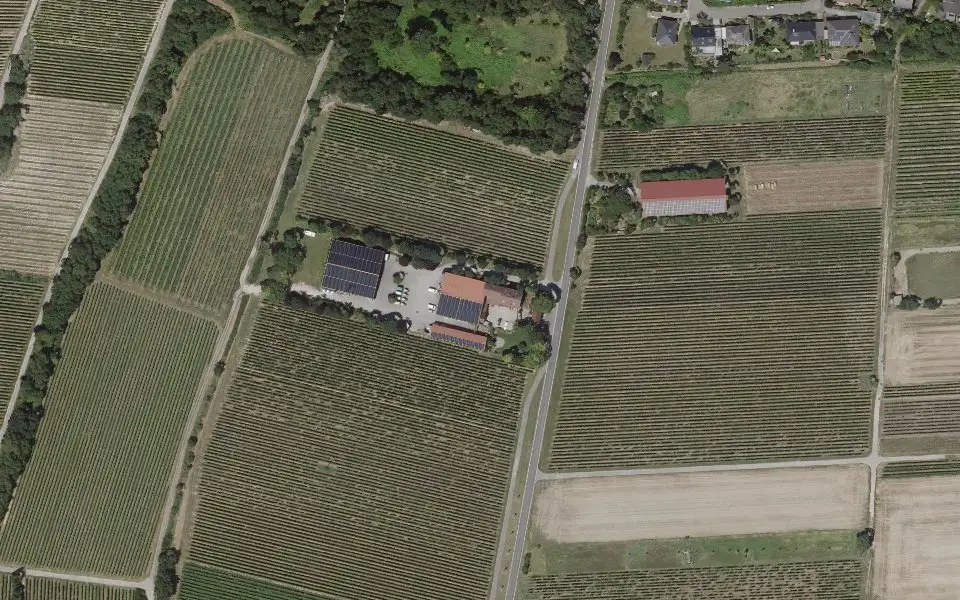 Luftbild der Umgebung von Weingut Schauf in Guntersblum