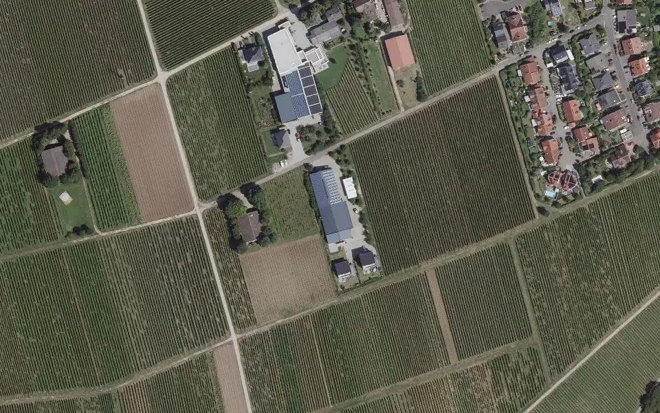Luftbild der Umgebung von Weingut Wolf in Essenheim