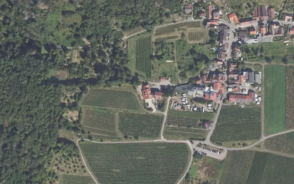 Luftbild der Umgebung von Weinhaus Paradies in Neustadt an der Weinstraße