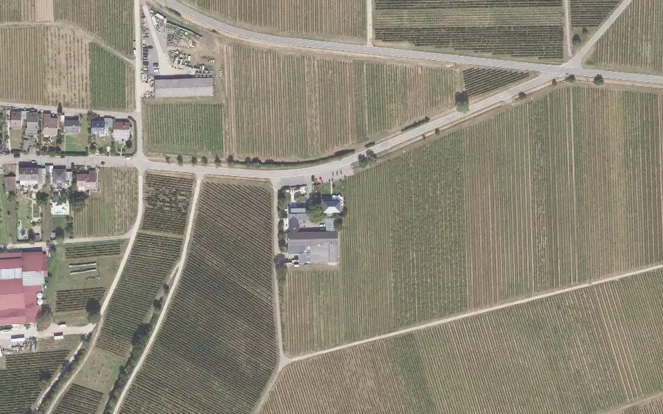 Luftbild der Umgebung von Weinhaus Tina Pfaffmann in Frankweiler
