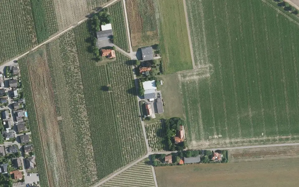 Luftbild der Umgebung von Weinstube und Gaststätte Bengel in Dirmstein