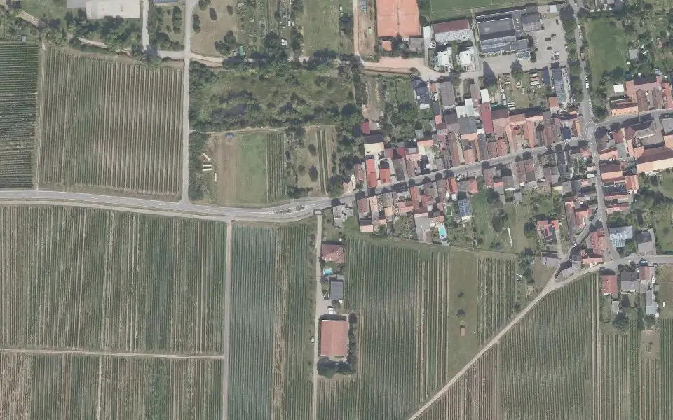 Luftbild der Umgebung von Winzergenossenschaft Friedelsheim in Friedelsheim