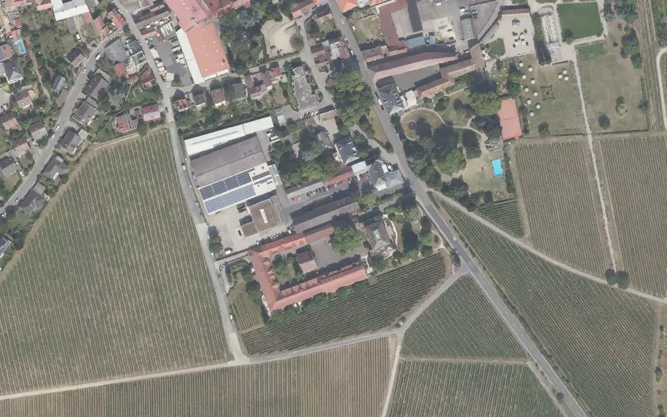 Luftbild der Umgebung von Winzergenossenschaft in Wachenheim an der Weinstraße