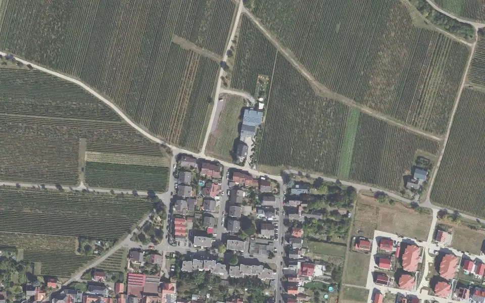 Luftbild der Umgebung von Winzerhof Ernst in Maikammer